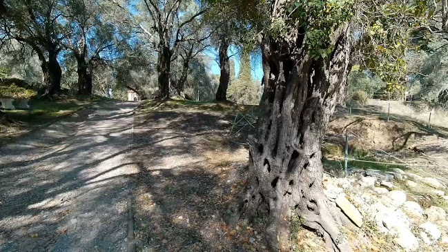 Αξιολογήσεις για το Πάρκο Μον Ρεπό στην Κέρκυρα - Ένωση