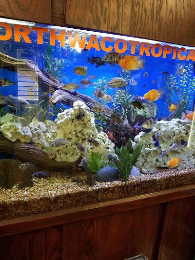 North Waco Tropical Fish LLC