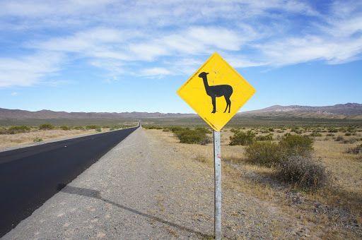 Reisedesigner ArgentinAbsolut UG