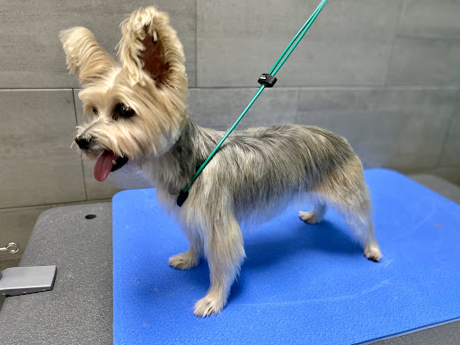 petbar Boutique - Fort Lauderdale