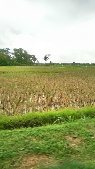 Photos of Rm.sungai Kalu 5