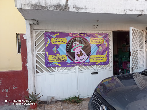 Servicios Veterinarios Galácticos