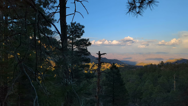 Hualapai Mountain Park Campground by null