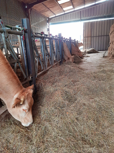 La ferme de Pantegnies - Thumbnail