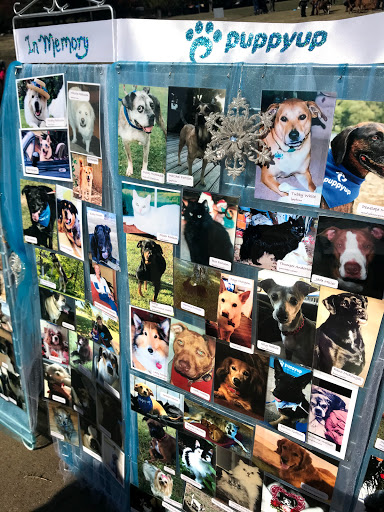SoMa Animal Clinic and Housecalls - Thumbnail