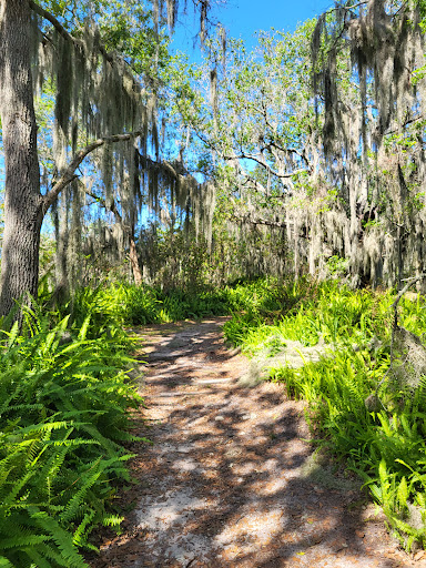 Medard Park/ Hillsborough County Parks - Thumbnail