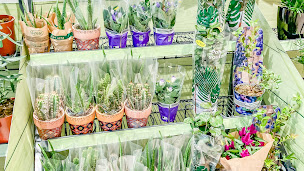 Photo n°9 de Lidl à Linselles (Supermarché)