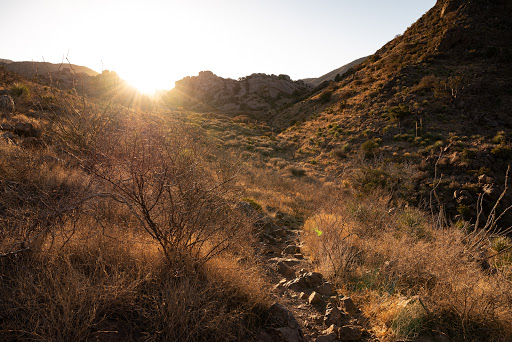 Achenbach Canyon Hiking Trail