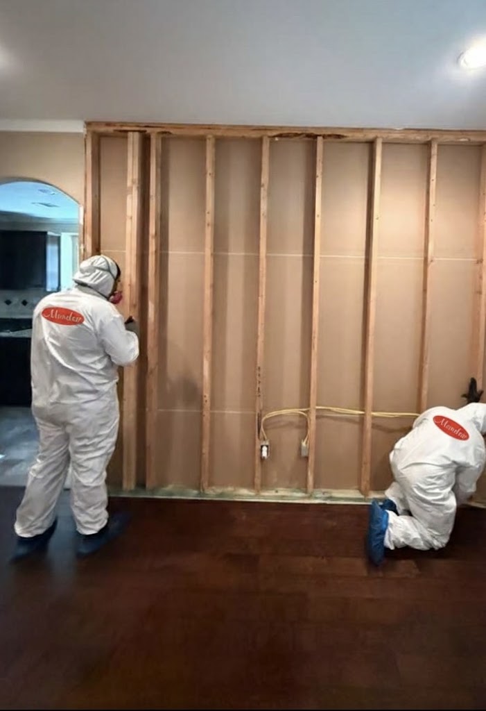 Mundae Restoration Services photo