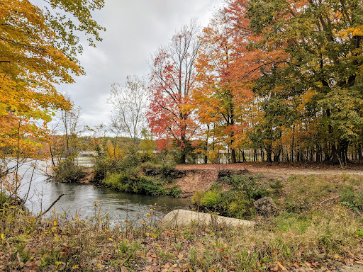 Sheldon Landing - Visual