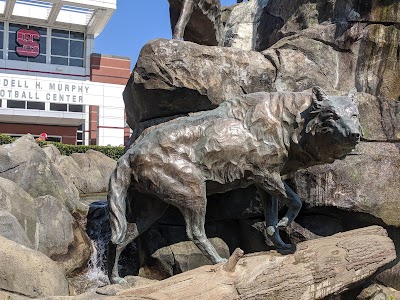 Carter-Finley Stadium