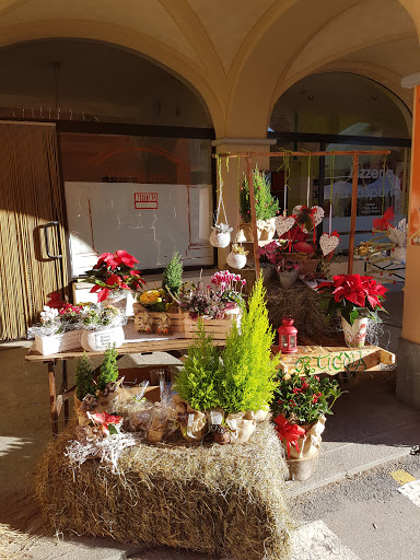 ORTICOLA - Thumbnail