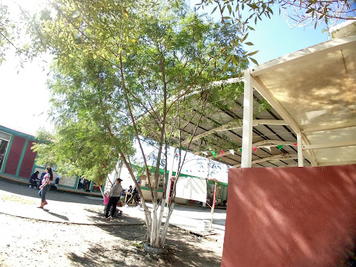 Esc. Primaria Quinto Centenario De America T.M - Thumbnail