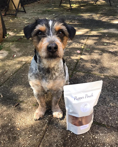 Pupper Pouch - Visual