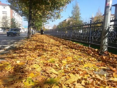 Yürüyüş Parkı