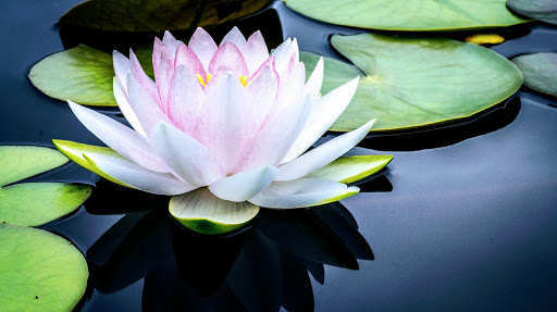 Mindful Massage by Deb