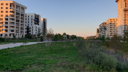 Ars Garden - Thumbnail