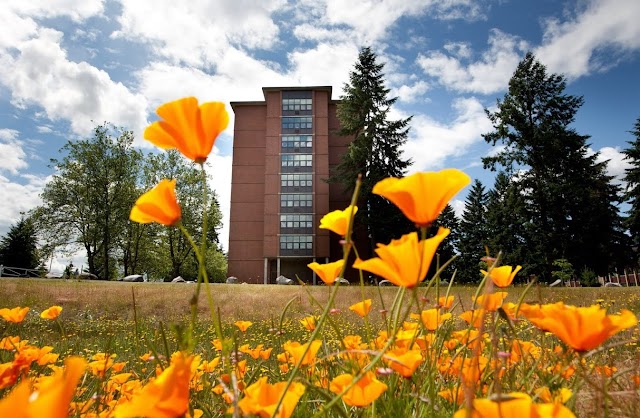Pacific Lutheran University