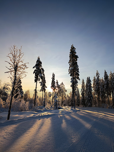 Bjursbacken - Visual