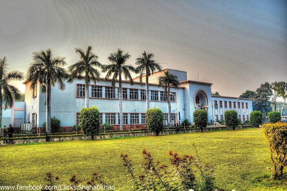 Aligarh Muslim University, Author: Shahab Khan