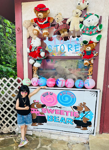 DIZZY BEAR INC. - Visual