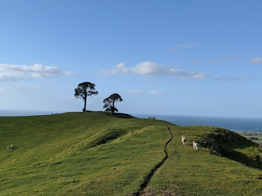 Papamoa Hills Cultural Heritage Regional Park - Thumbnail