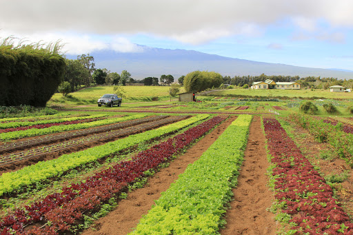 New Island Farm Solutions Gallery - United States