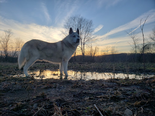 Little Indian Creek Wildlife Management Area - Thumbnail