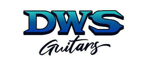 DWS Guitars - Visual