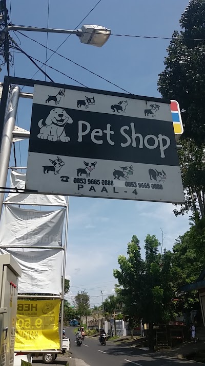 Photos of Pet shop