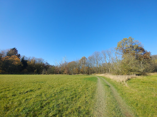 Auf der Humpfert - Thumbnail