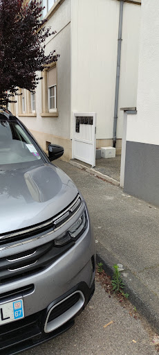 VIOLAINE BING AUBRIOT