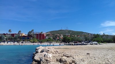 Photos of Royal Palm Resort