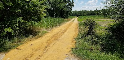 Greenway Plantation