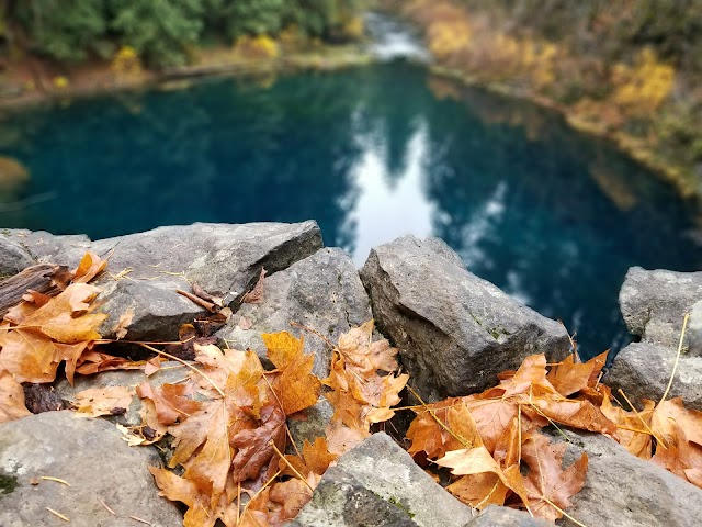 Tamolitch (Blue) Pool