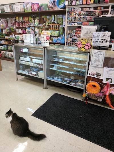 Photos of L & L Pets