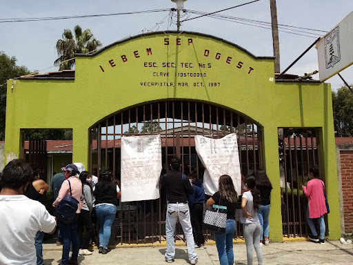 Escuela Secundaria Tecnica N° 5