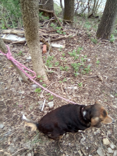 West Virginia Civil War Trails: Attacking Fairmont - Thumbnail