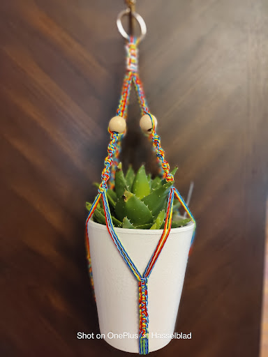 Smiling Succs - Visual