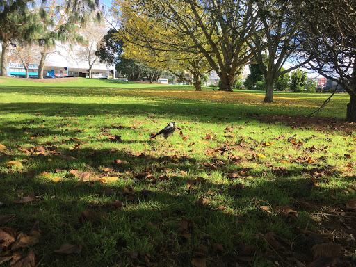 AUT South Campus - Thumbnail