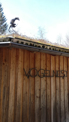 Vogelnest - Visual