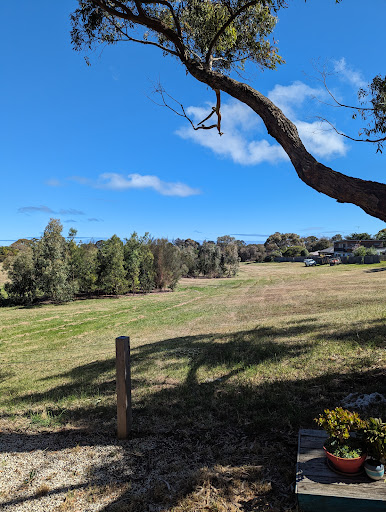 Pacey’s Park Gallery - Australia