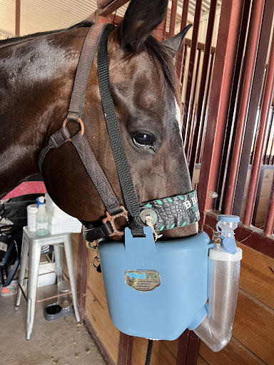 Equine Edge Body Balance