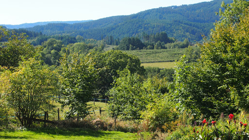 Photo de Gîte des Monneries, Beaujolais vert à Poule-les-Écharmeaux (69870)