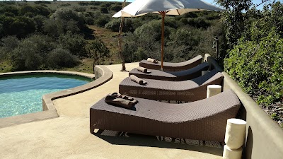 Photos of Amakhala Safari Lodge