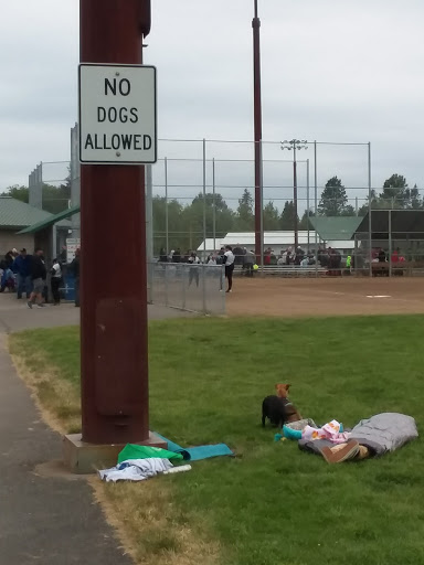 Phillips 66 Baseball Fields - Thumbnail