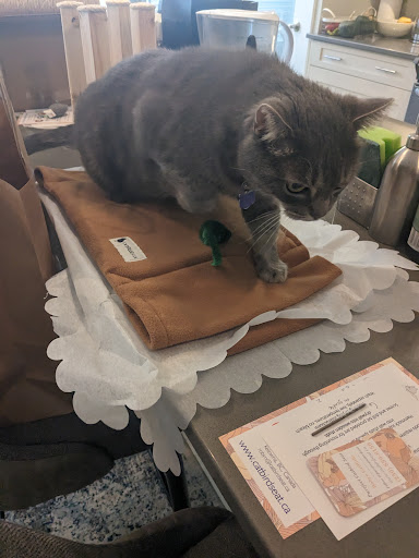 Purrfect Catbird Seat