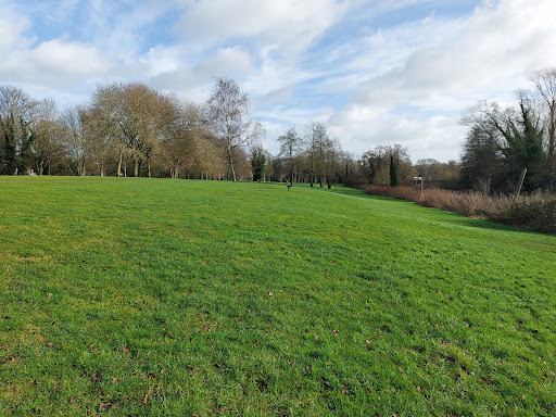 Anderson's Meadow - Visual
