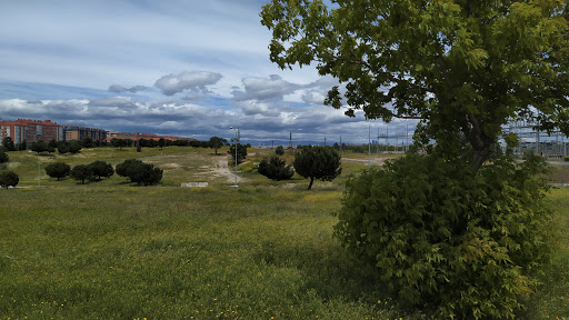 Bosque DHL - Visual