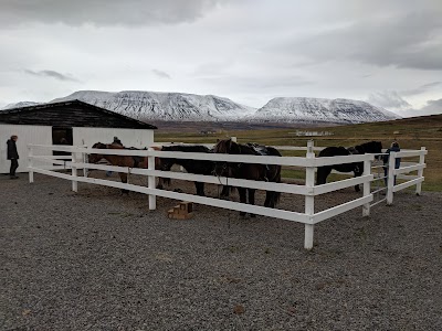 Photos of Hestasport
